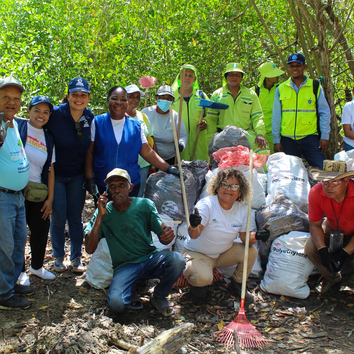 Semana del Manglar moviliza a Cartagena por el cuidado de la Ciénaga de La Virgen
