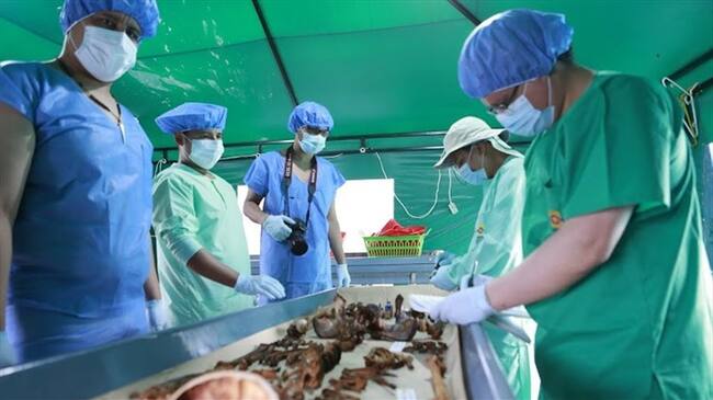 Imagen de referencia. Foto: Colprensa