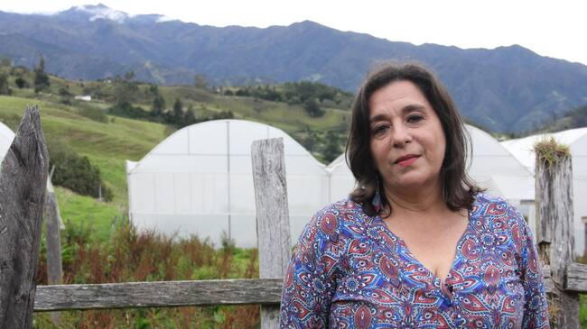 En su finca La Frontera, ubicada en el municipio de Mutiscua, Ligia Salamanca cultiva uchuvas, papa, zanahoria, brócoli, cebolla, repollo y berenjena libres de químicos. Además de su negocio de productos orgánicos, esta madre cabeza de familia conserva una gran cantidad de bosque altoandino y siembra árboles nativos para cuidar el páramo.