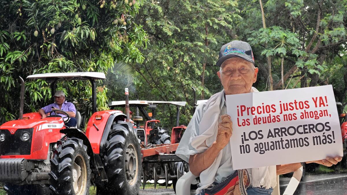 Arroceros advierten que el paro es indefinido hasta que no logre un acuerdo con el Gobierno