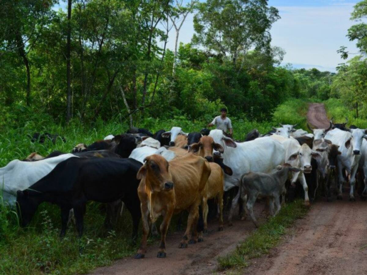 El fiscal me acosó sexualmente: Andrea Guzmán Aguilar