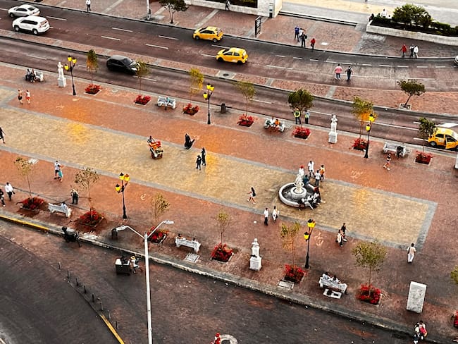 Arrancó transformación paisajística en el Camellón de los Mártires