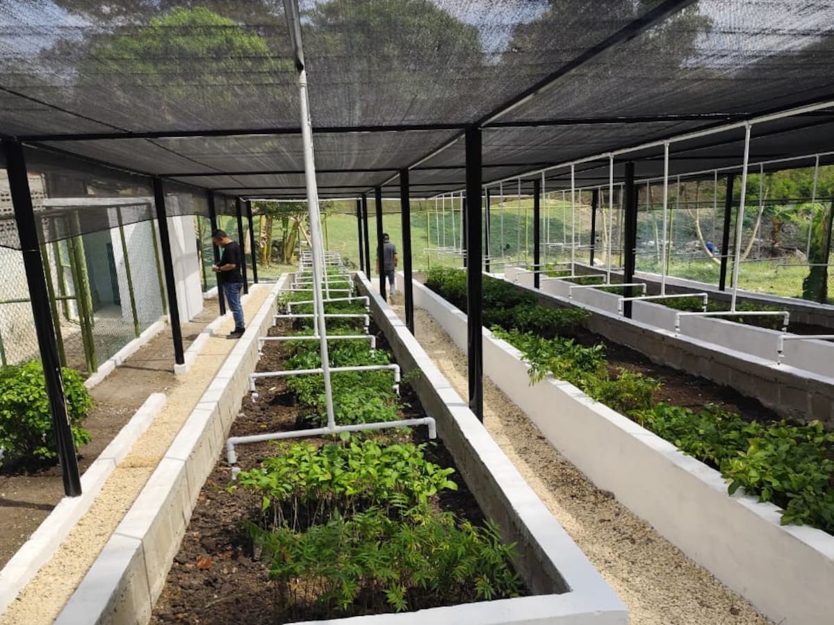 Nuevo Vivero Bioclimático en Turbaco promovido por Asociación Niños de Papel, Argos y Cardique