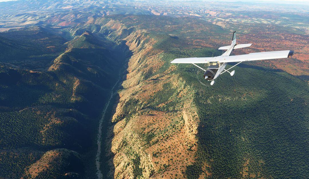 Imagen de referencia del videojuego Microsoft Flight Simulator