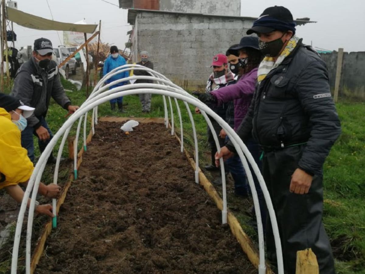 Con microtúneles se conservan los cultivos en el Páramo de Letras