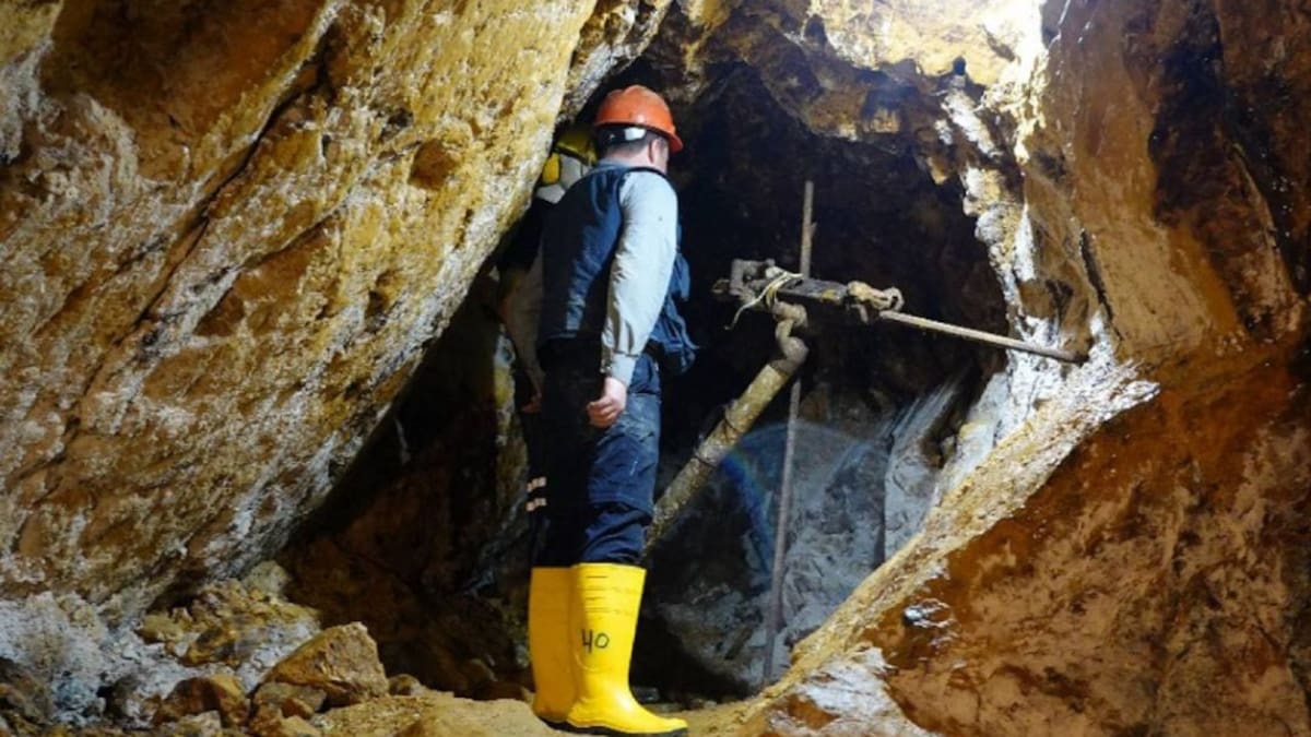 Estudiantes desertan para trabajar como mineros ilegales