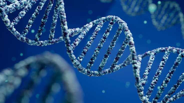 Colombiana desarrolla programa que puede predecir el comportamiento del cáncer, así funciona