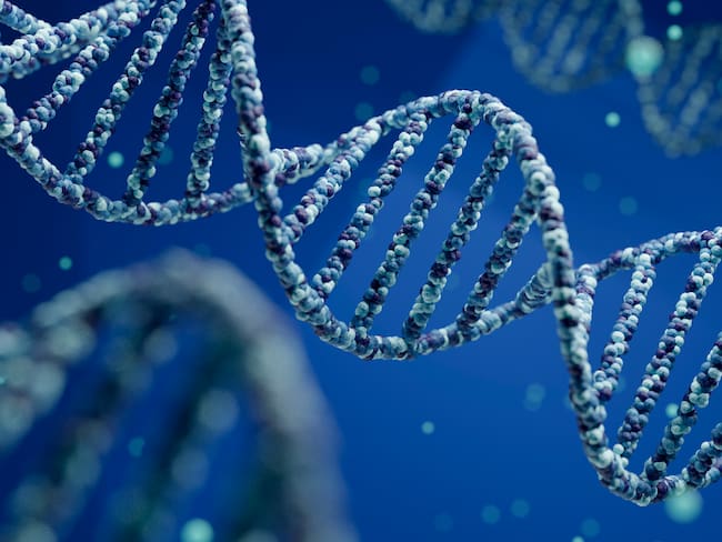 ADN imagen de referencia. Foto: Getty Images.