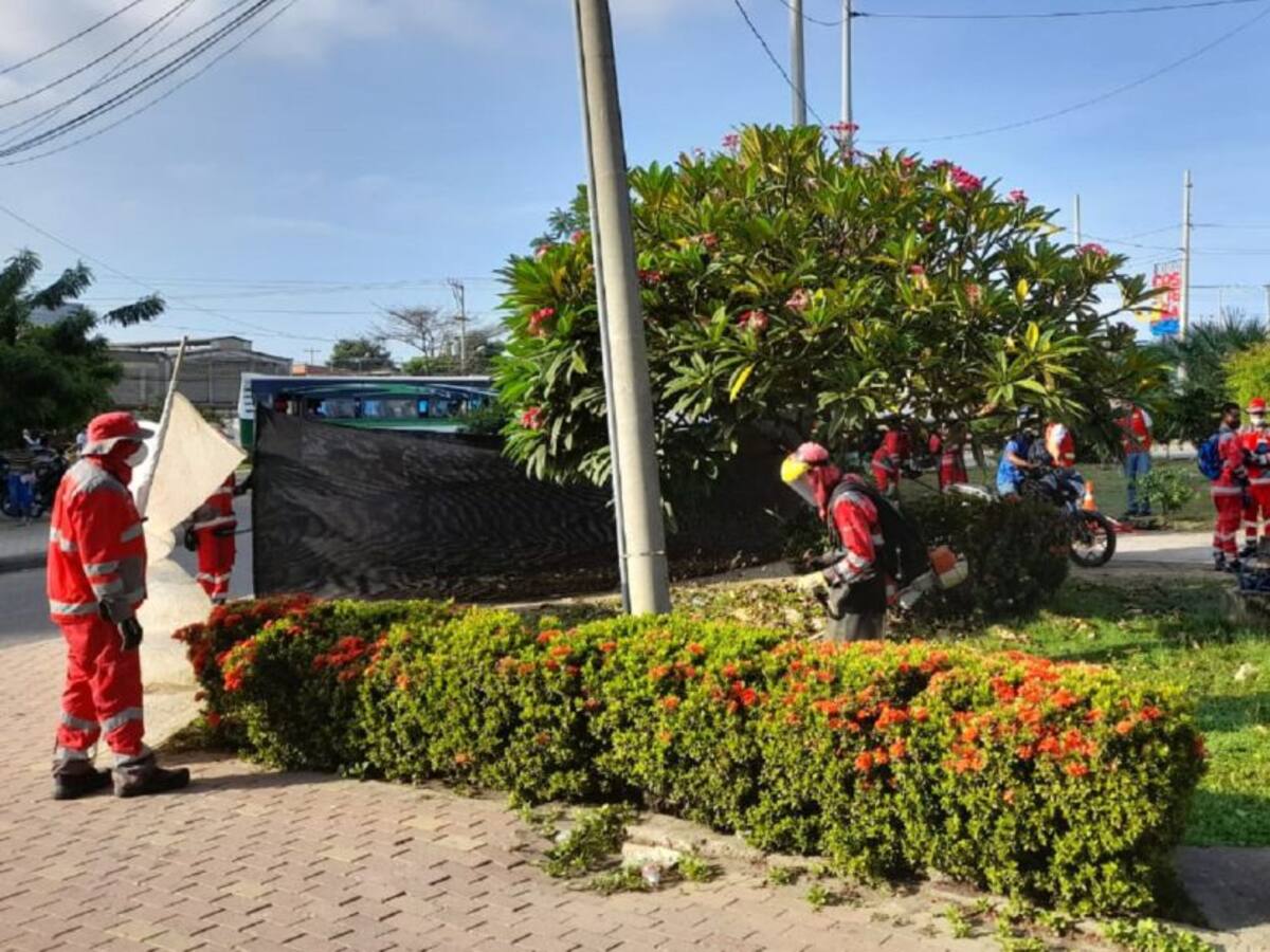 En Cartagena Veolia intensifica trabajos por la temporada turística