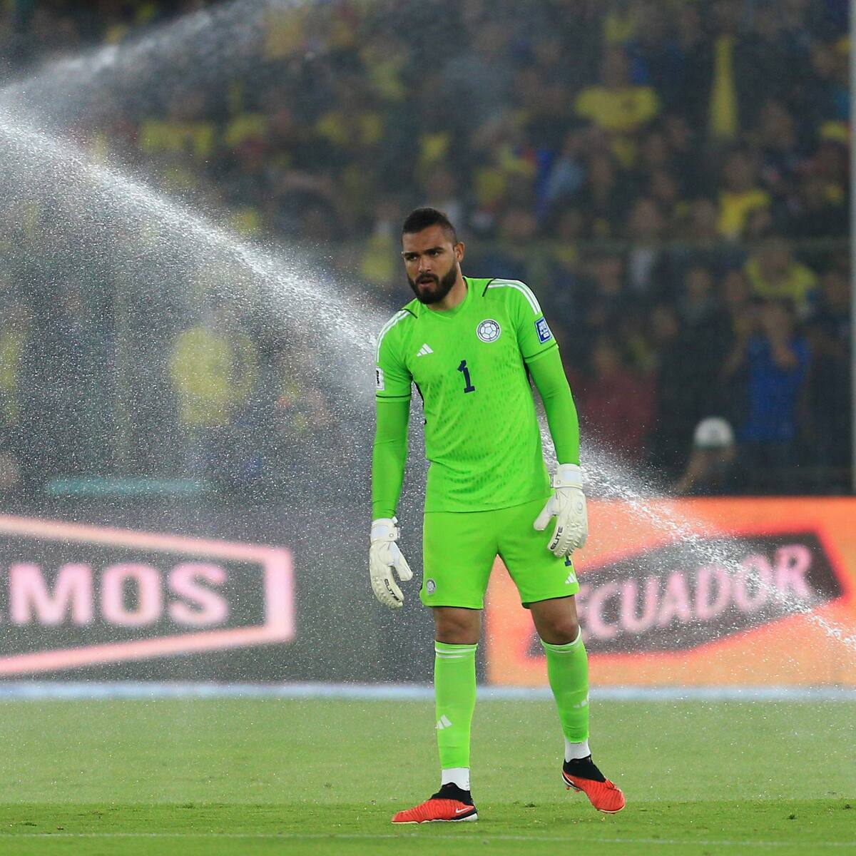 Álvaro Montero y Kevin Mier, convocados a la Selección Colombia ¿Qué partidos se perderán?