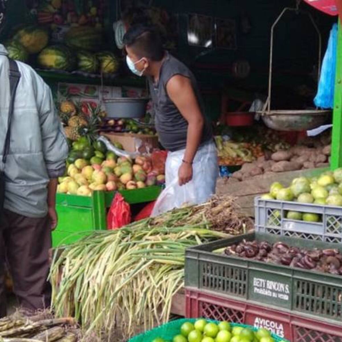 Cerca del 100% de la papa que se comercializa en Mercar, Armenia proviene de Nariño