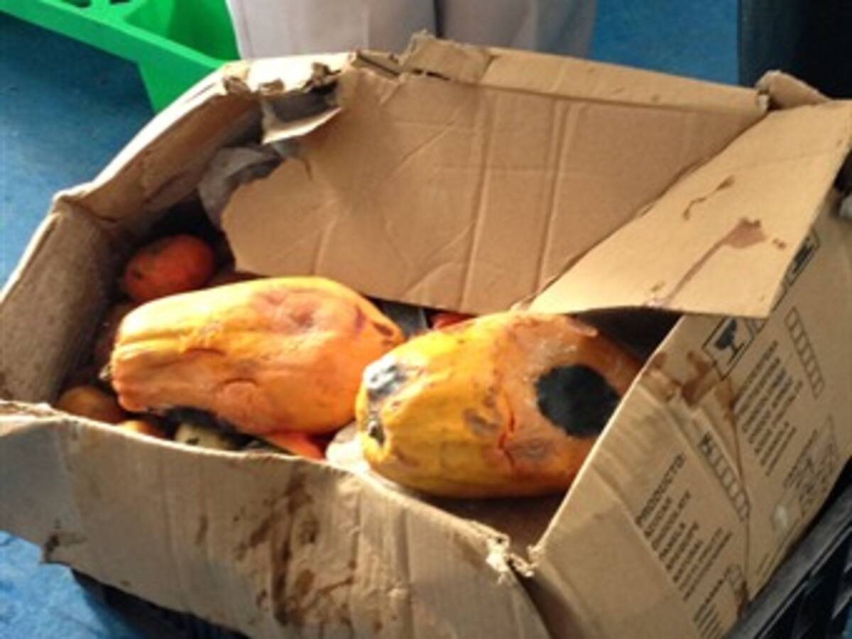 Autoridades encuentran alimentos descompuestos que serían entregados en jardínes