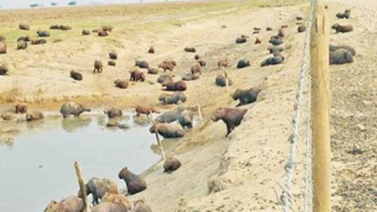 Autoridades señalan cinco causas que provocaron la tragedia en Casanare