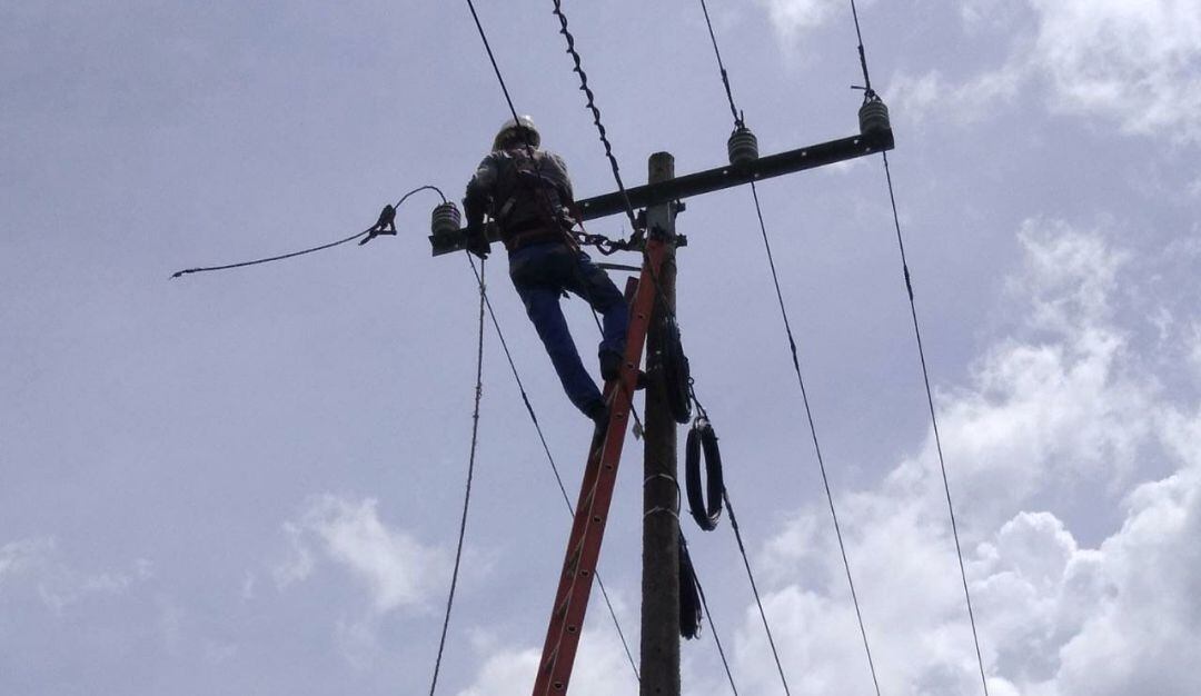 Imagen de referencia. 