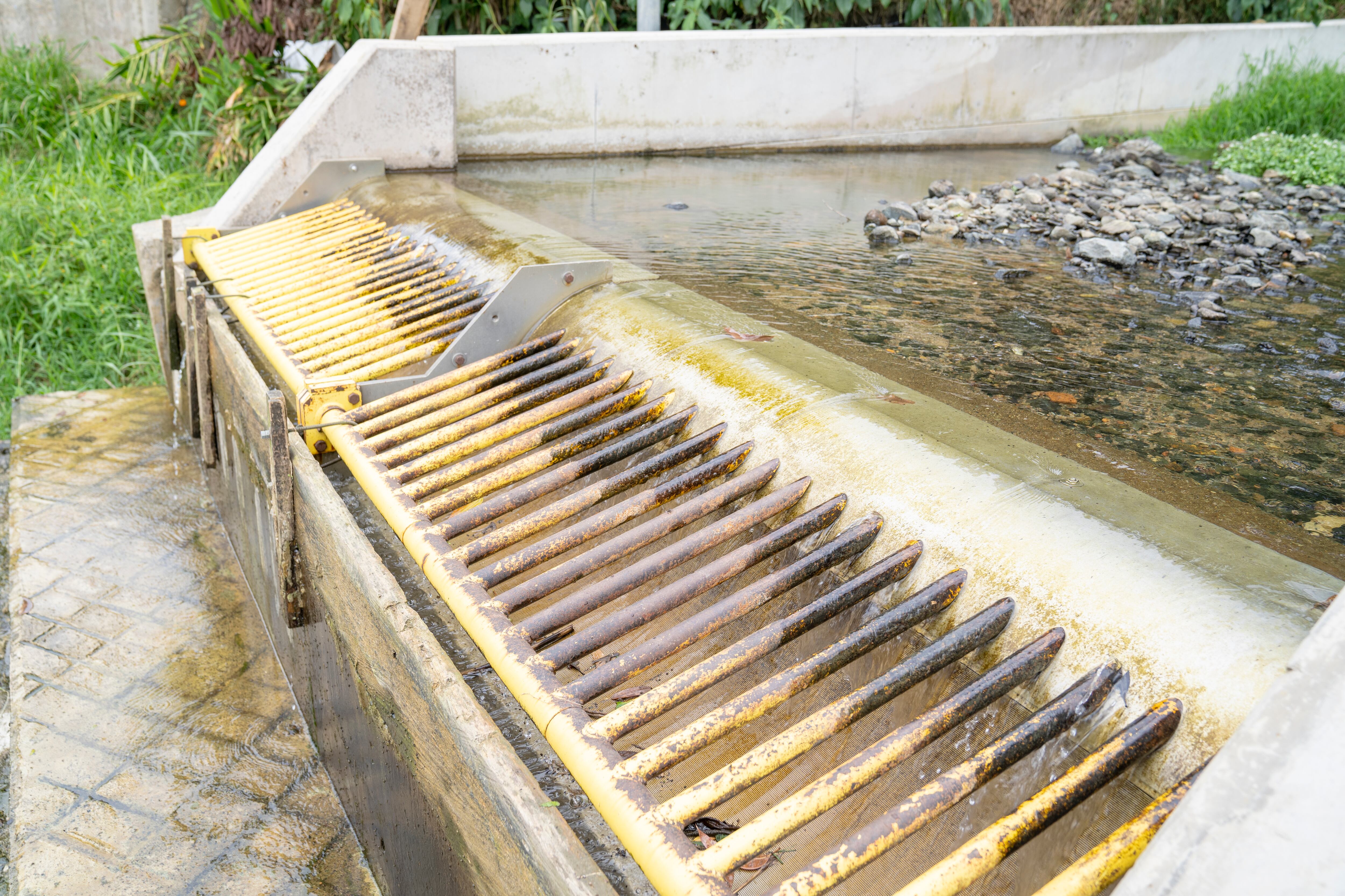 Quebrada la Iguaná. Foto: Cortesía EPM.