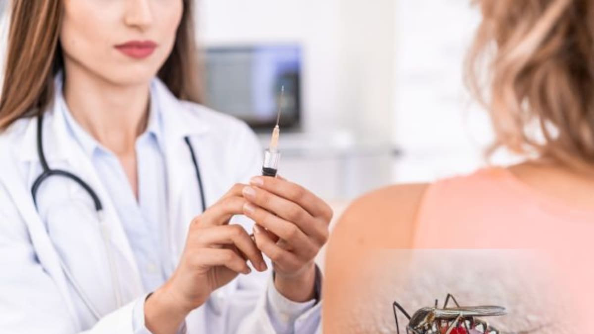 Fiebre Amarilla: Puntos de vacunación en Bogotá, síntomas y regiones con más casos