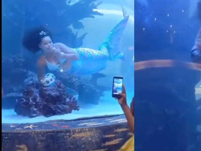 La Sirenita casi se ahoga en una pecera en Sudáfrica - Twitter