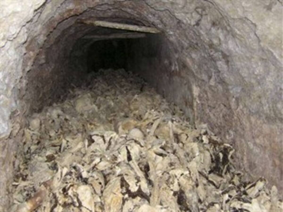 Hallan en Eslovenia una fosa con hasta 750 cadáveres de la II Guerra Mundial