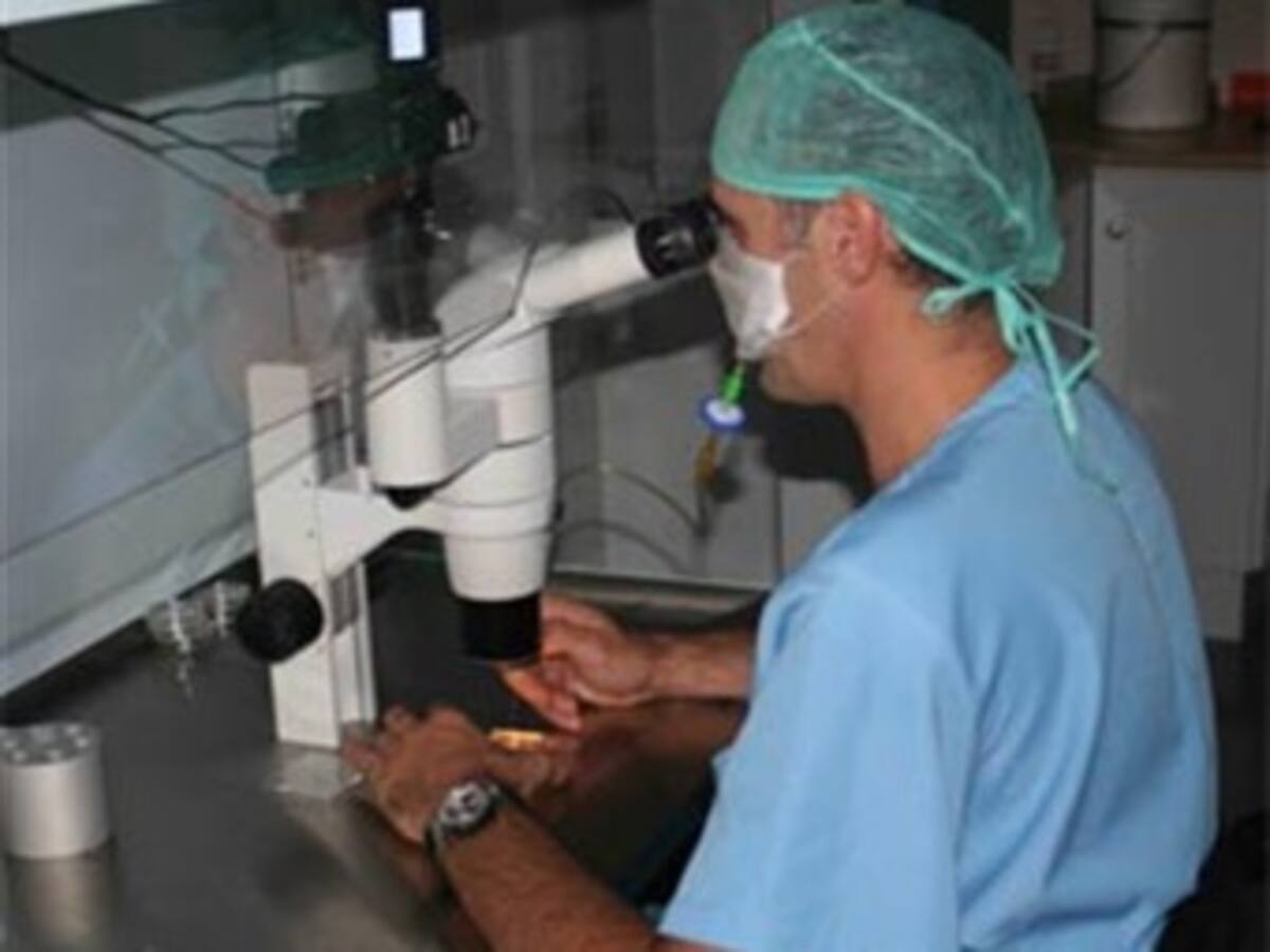 Piden investigar clasificados de donación de óvulos y semen
