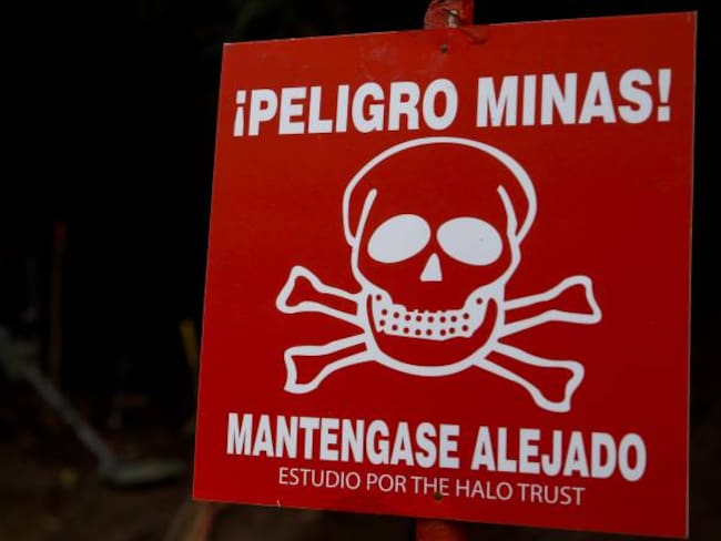 En 2021 Colombia estará sin minas antipersona: Mindefensa