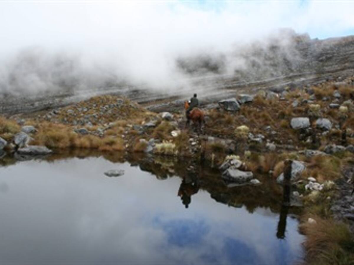 Contraloría advierte el aumento de concesiones mineras en los páramos del país