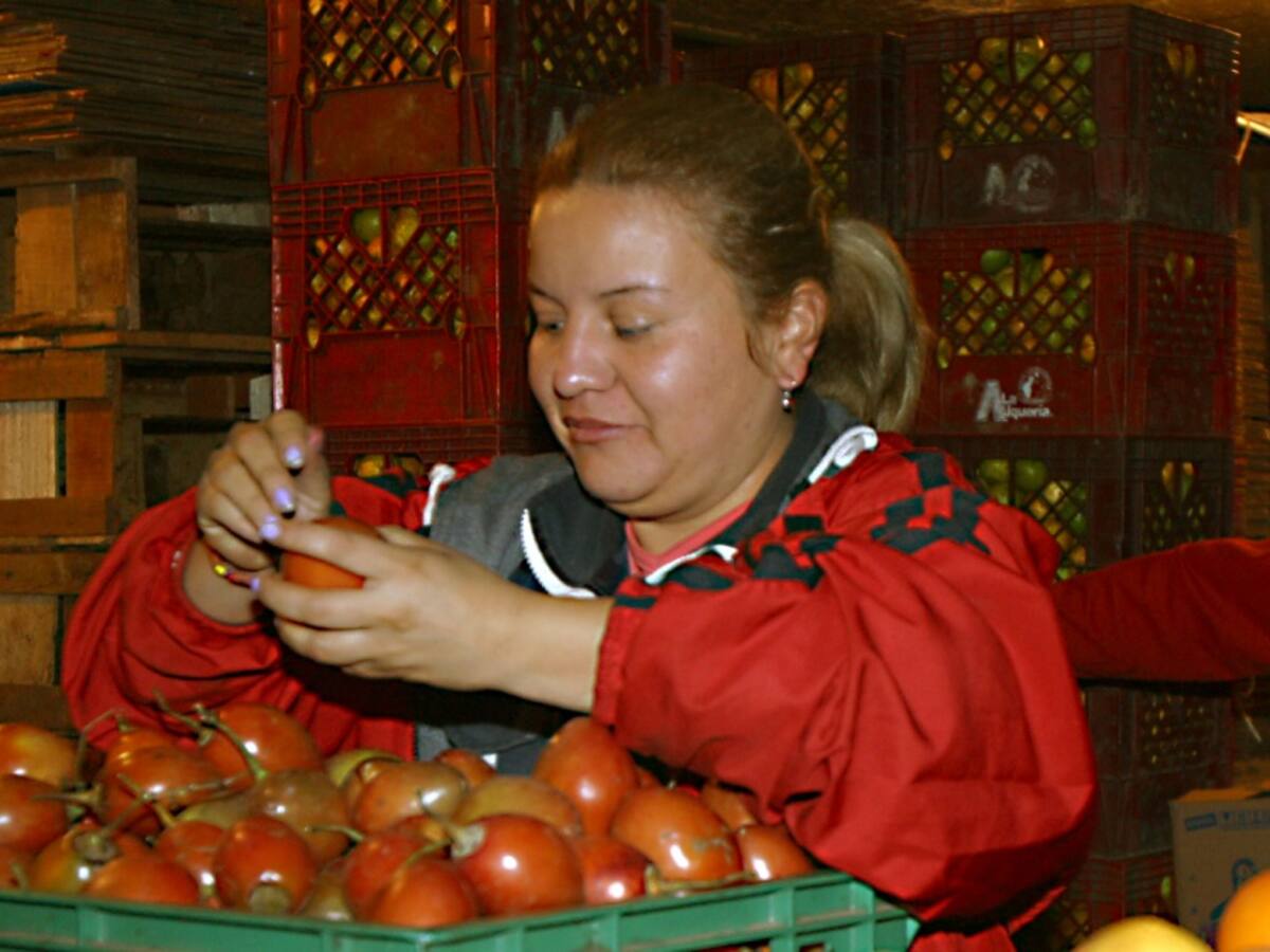 Tomate de árbol, ¿una fruta que hace más lento el envejecimiento?