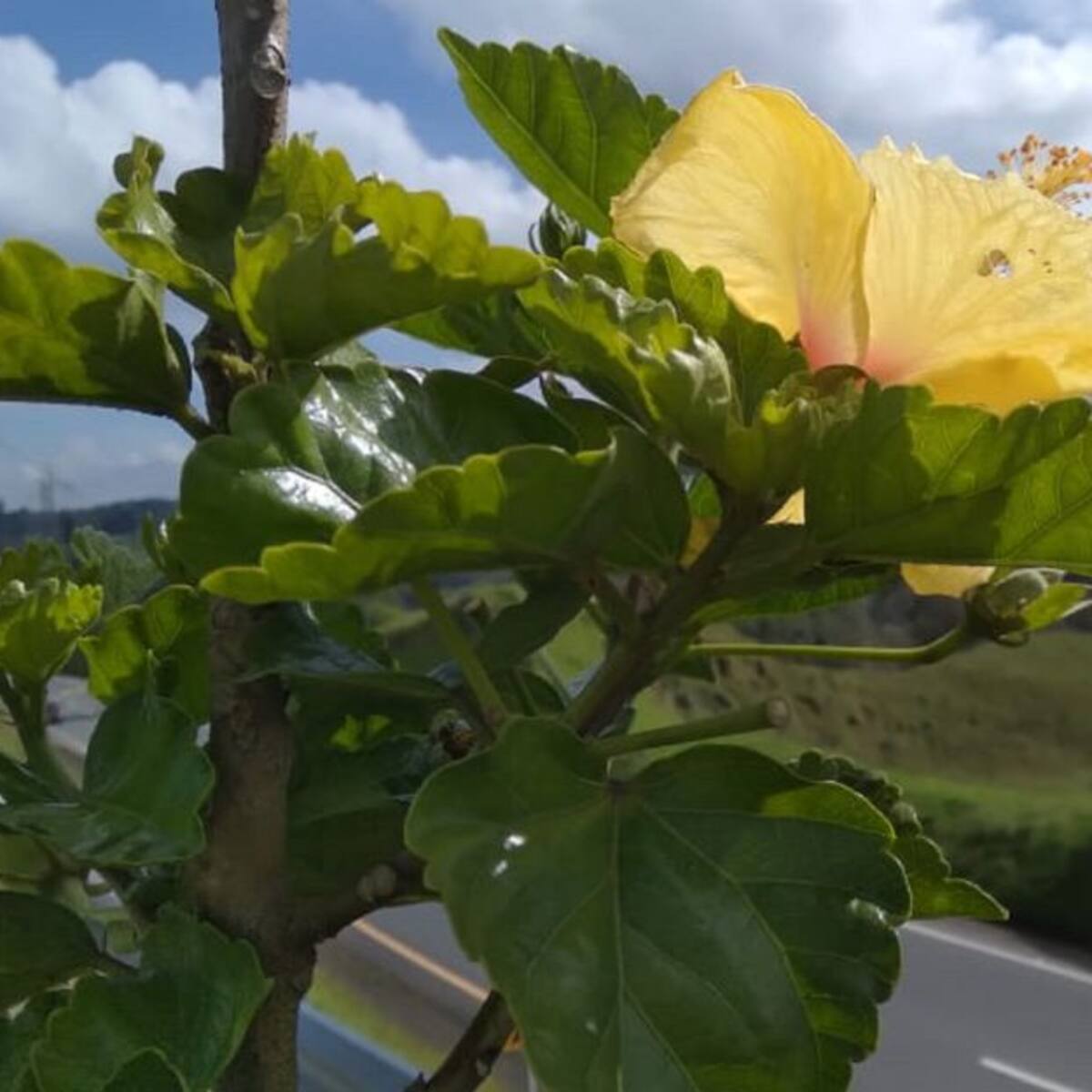Miércoles 13 de Abril, las principales noticias de Armenia y Quindío