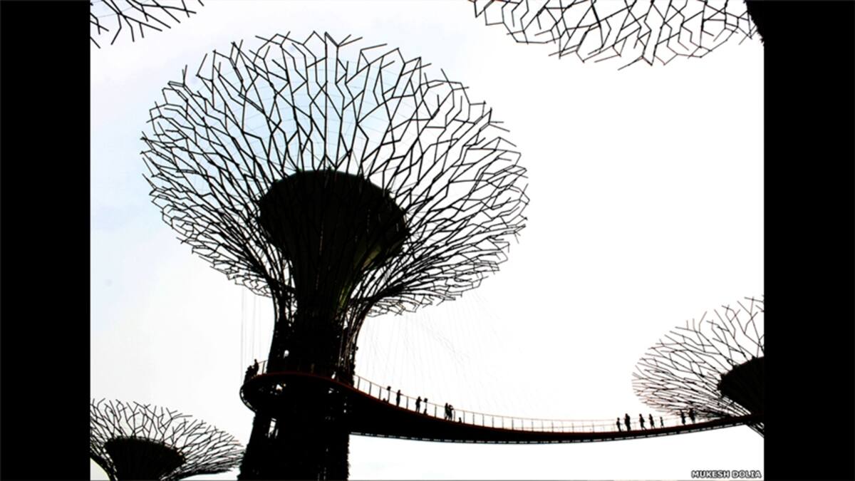 Kirsten Quist tituló su entrada "Medidas desesperadas '. " El trabajo infantil en esta foto demuestra cómo el arte de la construcción se puede distorsionar e incluso utilizar para explotar a los demás " asegura Quist.