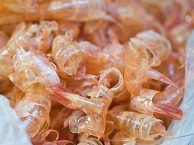 UniCartagena logró usar residuos del camarón para limpiar agua contaminada