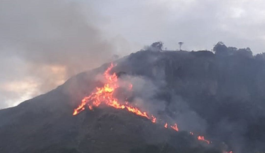 se reportan incendios forestales en más de seis municipios de esta región.