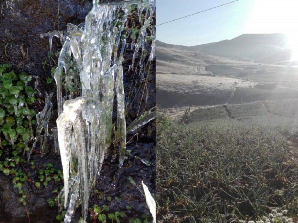 Heladas en el Páramo de Berlín afecta a municipios de Norte de Santander