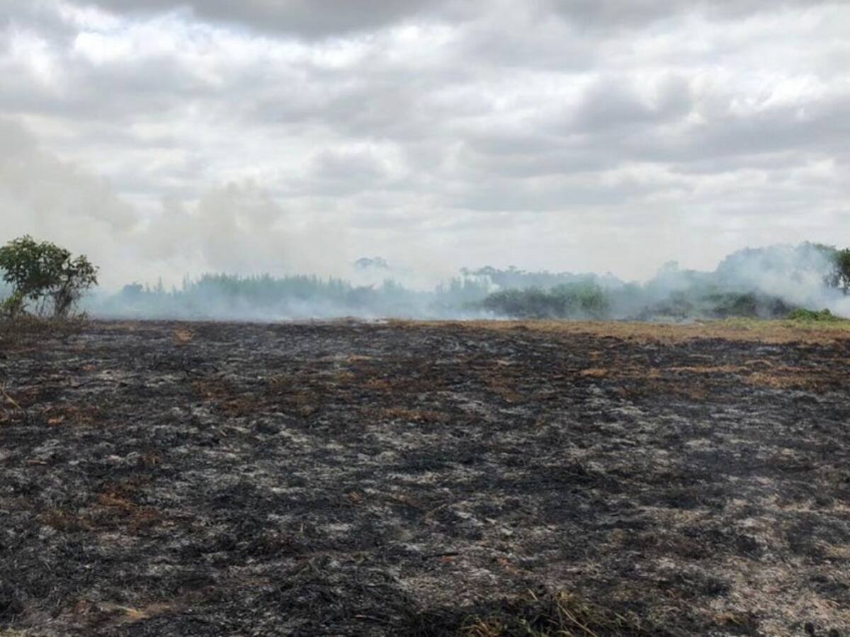 En Córdoba, incendio en la Ciénaga de Corralito consume unas 50 hectáreas