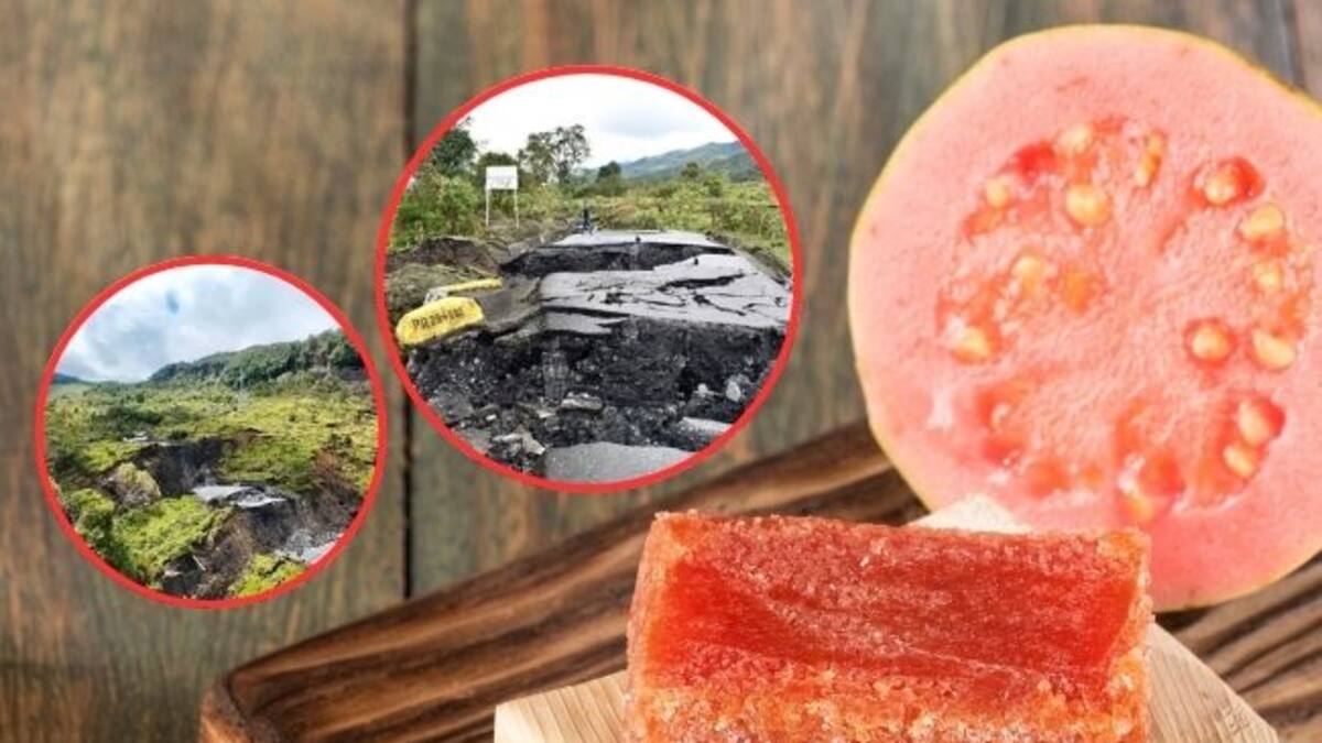 Paola Pineda, representante gremio bocadillo veleño