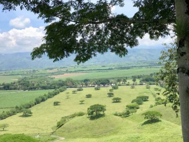 Abrirán pliegos para estudios de la Plataforma Logística del Eje Cafetero
