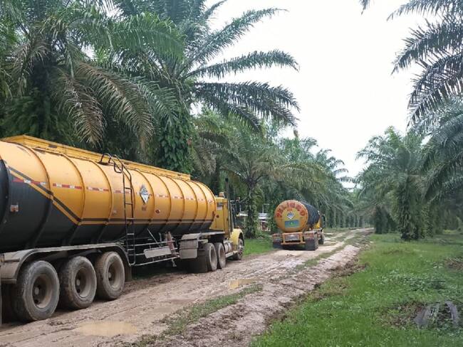 Gremios preocupados por ataque a conductores en vías nacionales