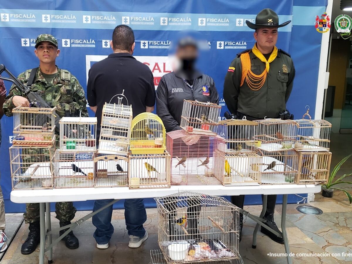 Capturado con 19 aves silvestres- foto fiscalía