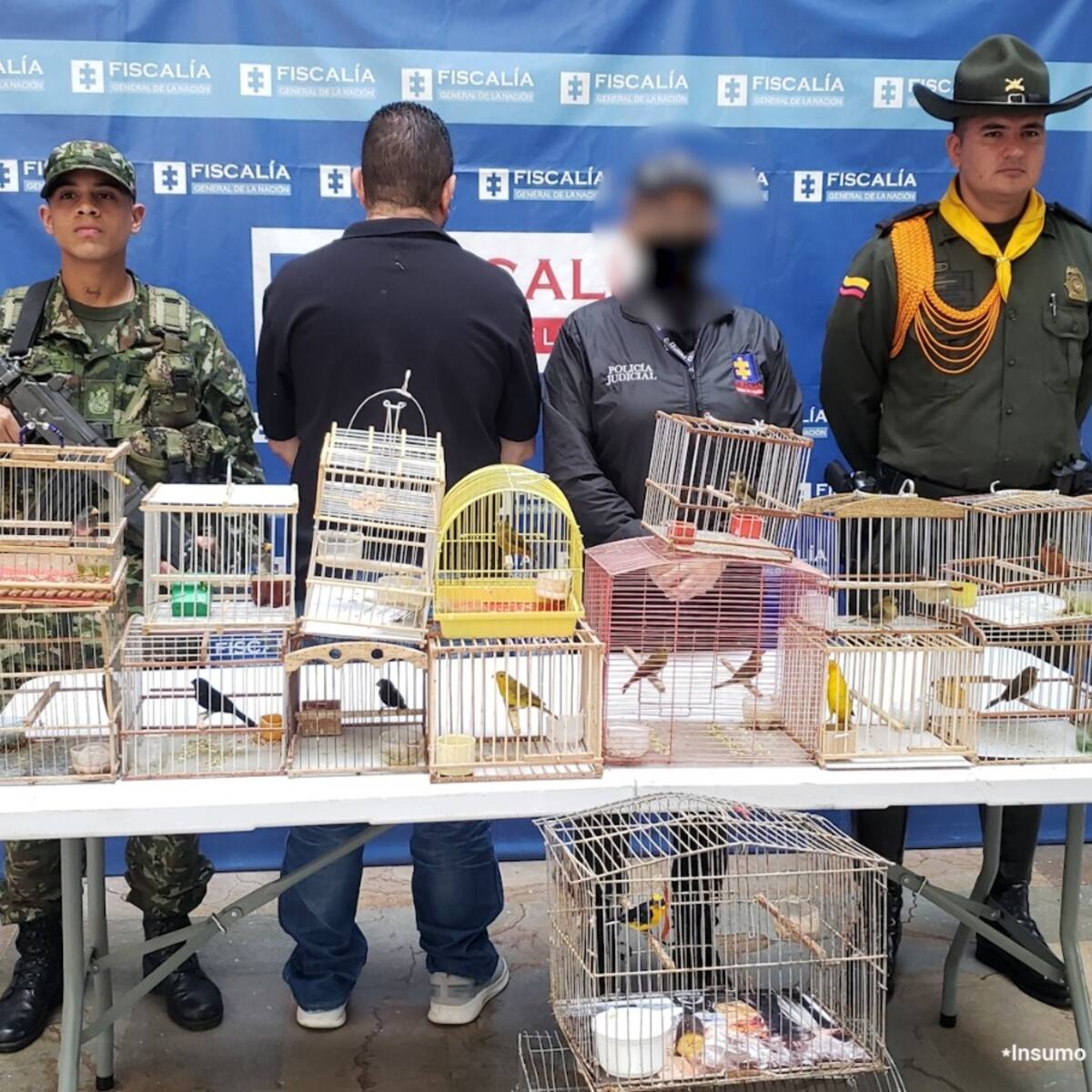 Capturado un hombre que pretendía comercializar 19 aves silvestres de manera ilegal