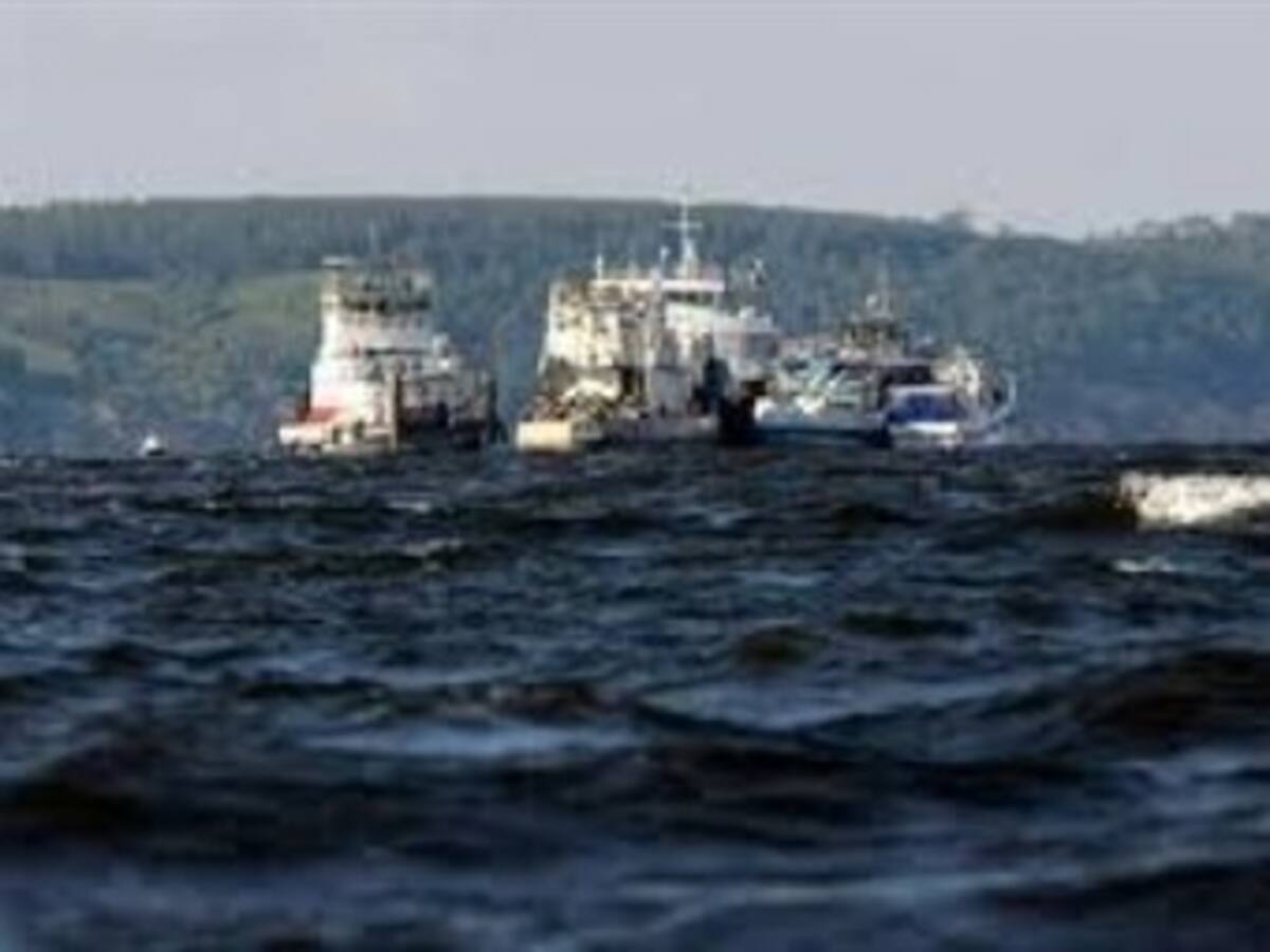 Nueva incursión de embarcaciones ecuatorianas en la Isla de Malpelo