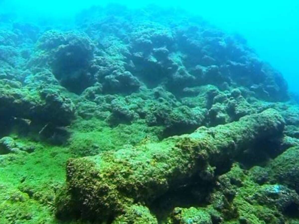 Gobierno suspende nuevamente licitación para el rescate del Galeón San José