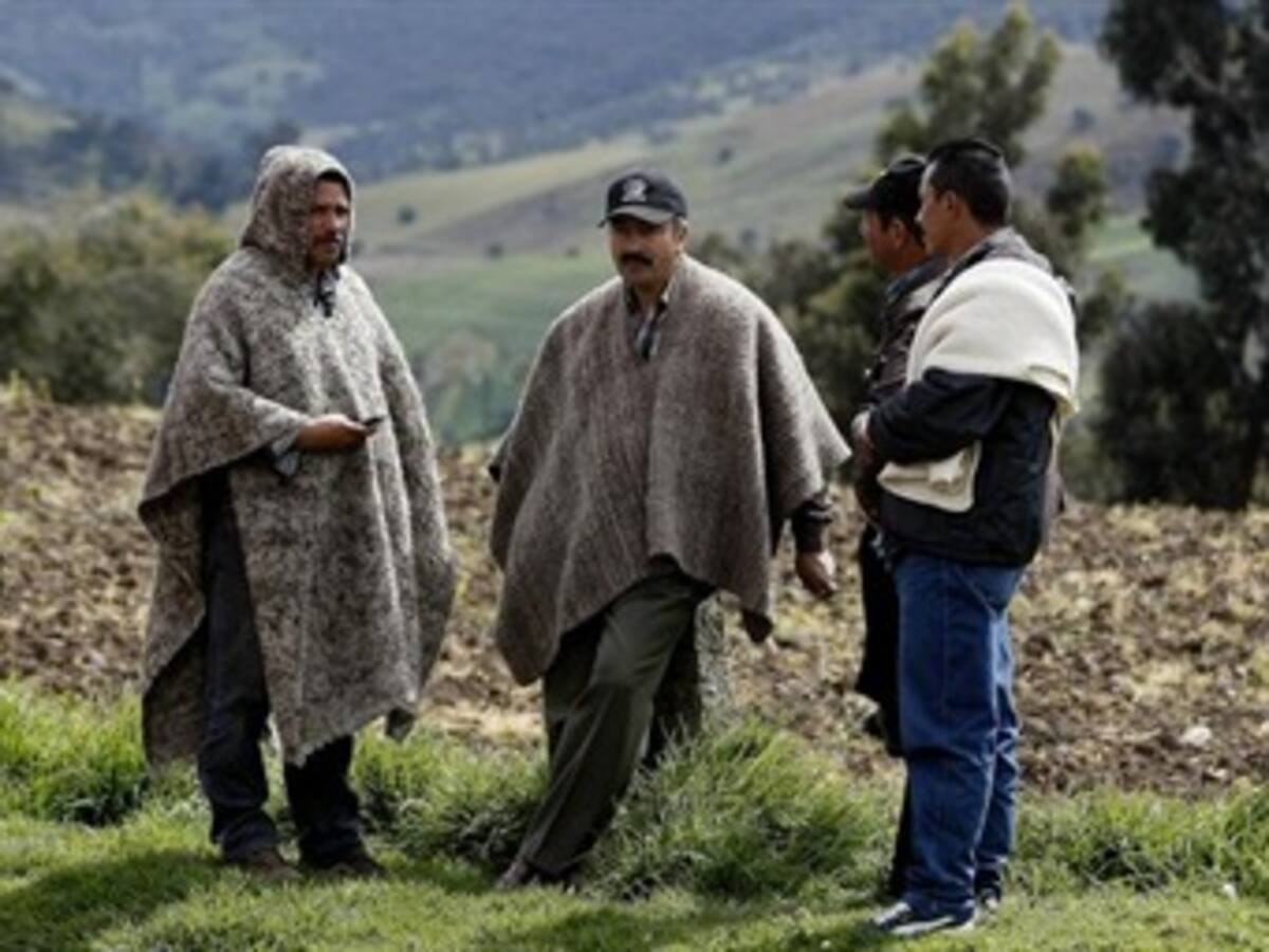 Pérdidas por 35.000 millones de pesos deja paro agrario a los papicultores