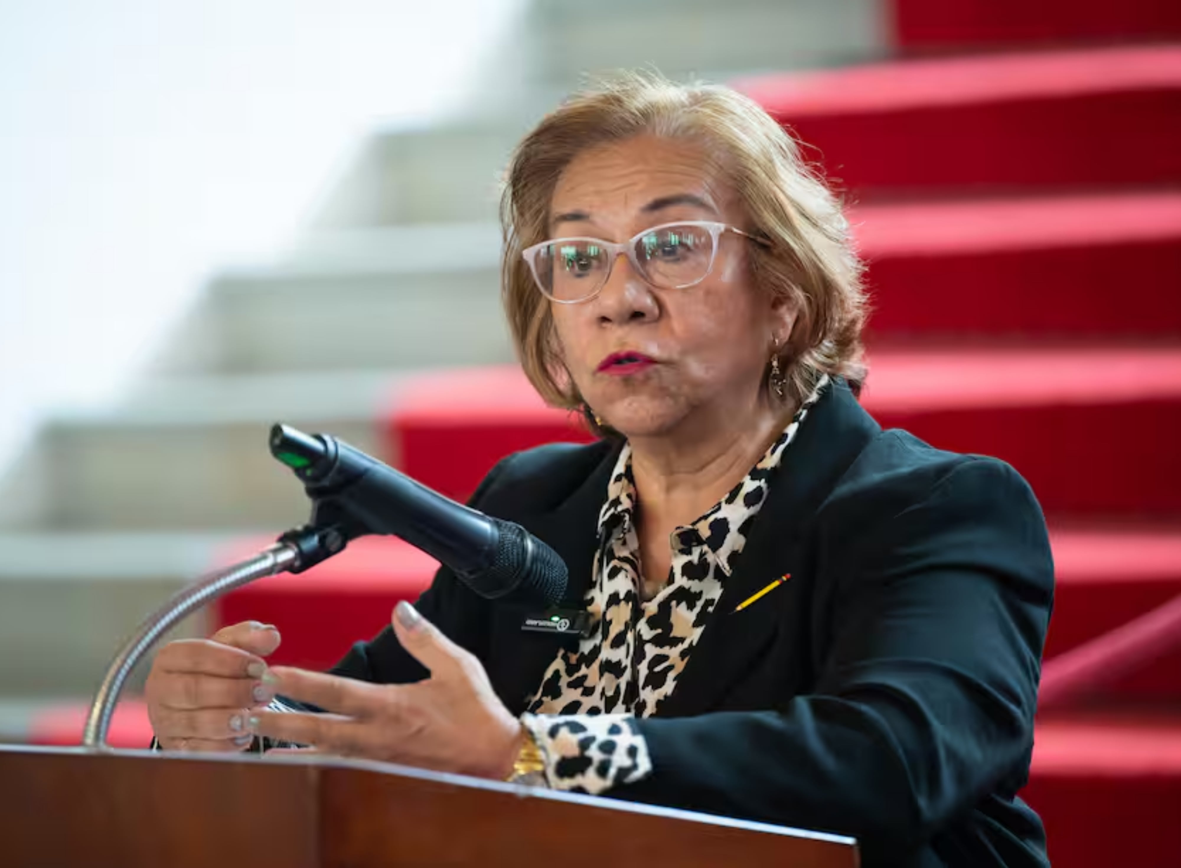 Rosa Villavicencio | Foto: Cancillería