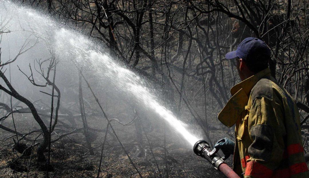 Archivo de referencia. 