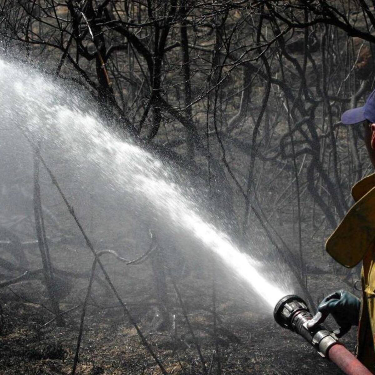 Incendio forestal en Aquitania supera las 60 hectáreas afectadas