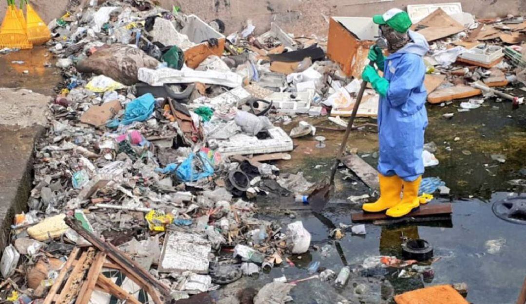 Imagen de referencia