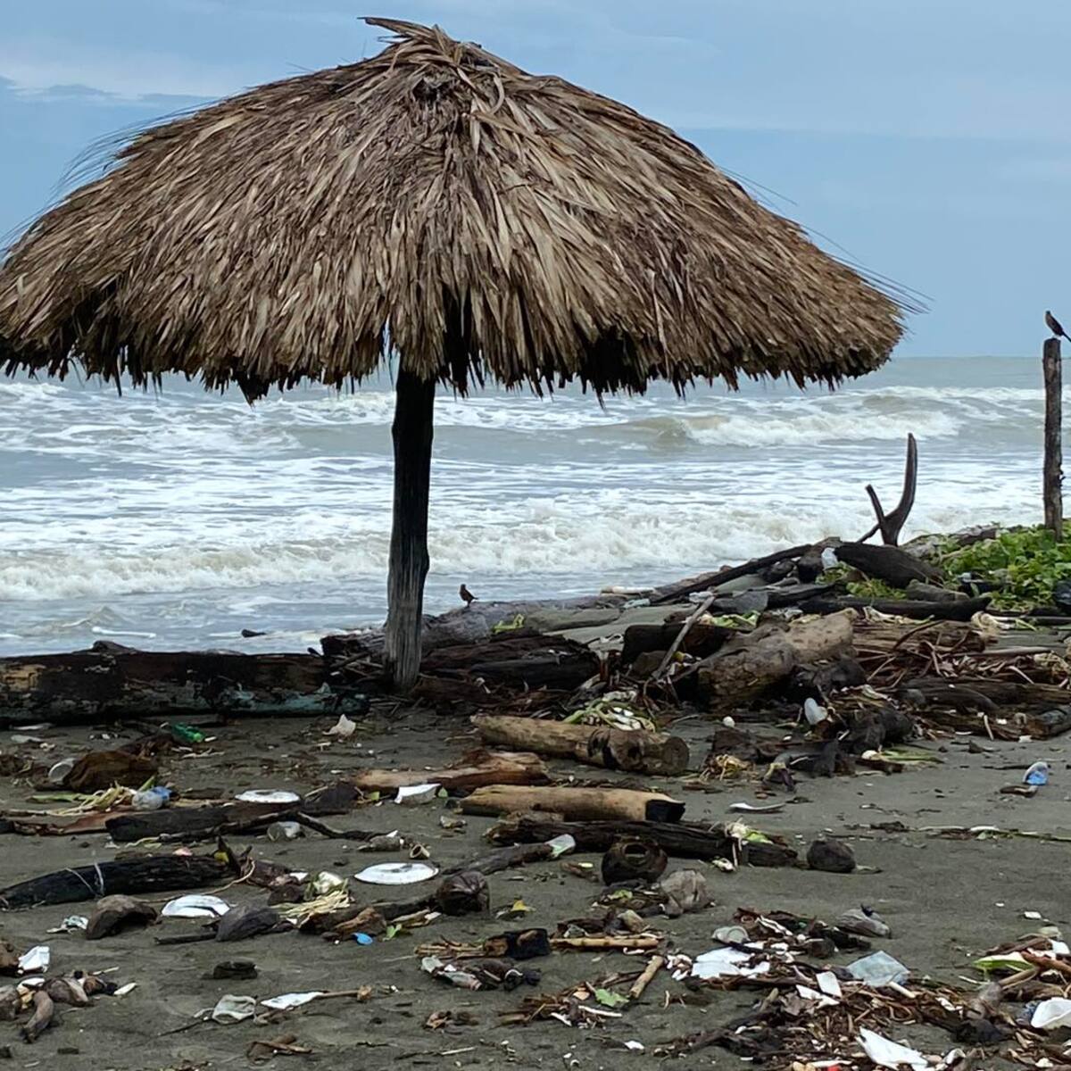 Restricciones en playas de Córdoba por fenómeno de Mar de leva