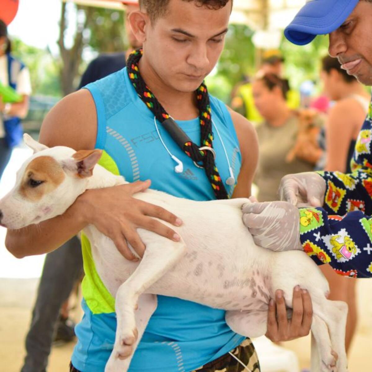 Proponen crear un SISBÉN en Colombia para mascotas y animales de compañía
