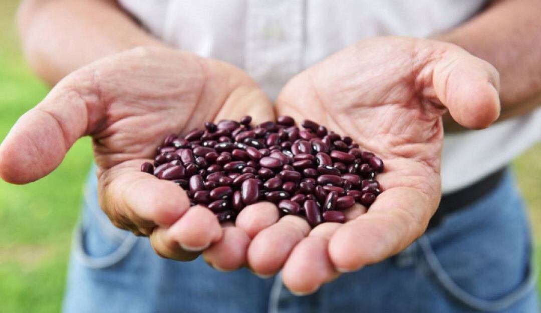 Agricultores del municipio de Cajamarca afectados por alto costo de los insumos