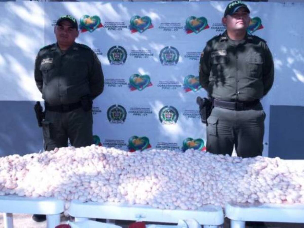 Denuncian caza de iguanas en el Canal del Dique en Bolívar