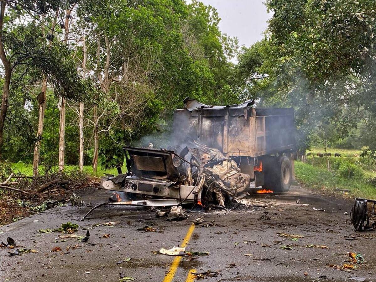 “Mi tío solo cultiva maracuyá”: sobrina de Delkis Niño, capturado tras atentado en Arauca