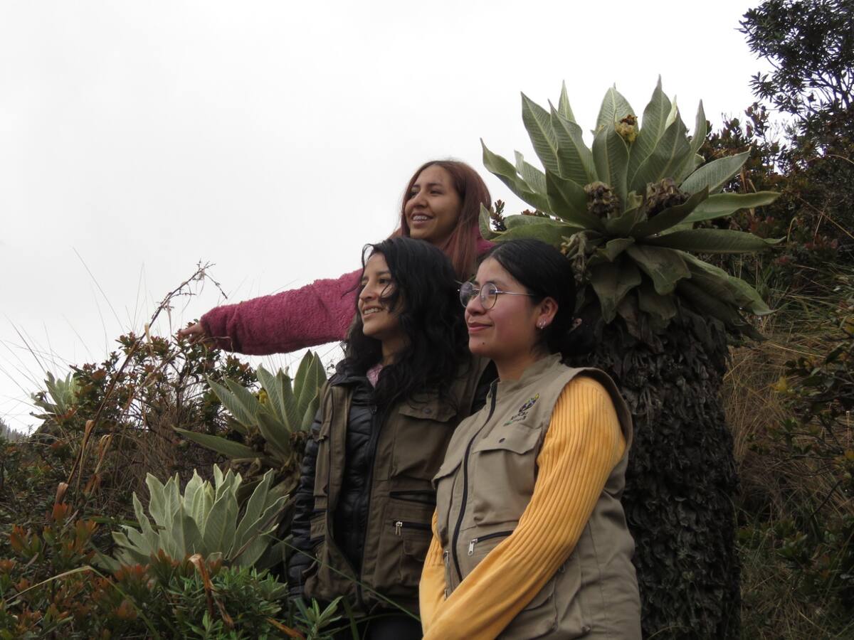 Mujeres nariñenses promueven proyectos para el cuidado del oso andino.